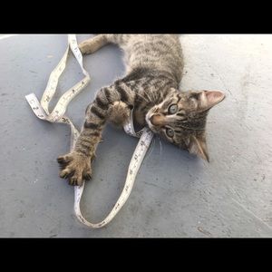 Meet your Posher, Madison